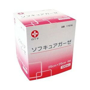 \tLAK[[ 25cm*25cm ×psDz 4 100 yKizykzymorzy㔭܂ł1TԑO㒸Ղꍇ܂z