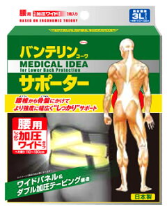 y10ZbgzoeR[ T|[^[p ^Cv Ch^Cv@3LTCY×10Zbg yKiz