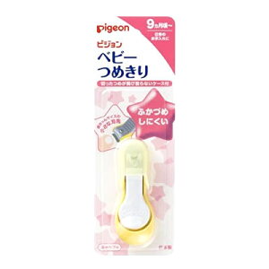 y20Zbgz sW xr[߂(Ă^) 1R×20ZbgyKizykzymorzy㔭܂ł1TԑO㒸Ղꍇ܂z