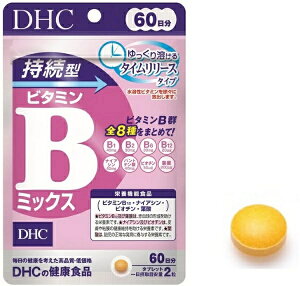 y20Zbgz DHC ^ r^~B~bNX 60(120)×20ZbgyKiz yŗΏەiyt-12z