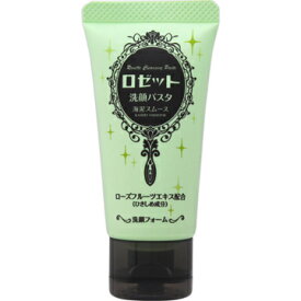 【20個セット】 ロゼット洗顔パスタ 海泥スムース ミニ 30g×20個セット【正規品】【t-20】