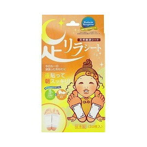 y20Zbgz V[g WW[ 30×20ZbgyKizymorz