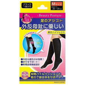 ̃AVXg OɗD\bNX ubN MTCY (22`23cm) yKiz