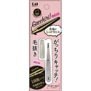 y240Zbgzy1P[Xz L@Lb`є~jiVo[j×240Zbg@1P[X@yKizykzy㔭܂ł1TԑO㒸Ղꍇ܂z