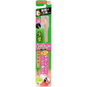 ѐ t ӂ uV RpNg 炩1{yKiz
