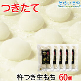 杵つき餅 60個 約2.4kg 福岡県築上町産【クール便のため同梱不可】 無添加 お餅 クール便 正月 お歳暮 ギフト お雑煮 鍋に 本庄の大楠 生もち 小餅 ヒヨクモチ つきたて ふるさと納税で人気