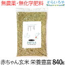 薬膳のお米 840g 栄養価の高い赤ちゃん玄米 無農薬 無化学肥料 西日本産 ※パッケージ変更がある場合がございます。中身は一緒です。