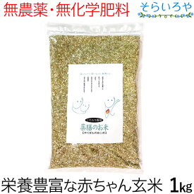 薬膳のお米 1kg 栄養価の高い赤ちゃん玄米 無農薬 無化学肥料 西日本産 ※パッケージ変更がある場合がございます。中身は一緒です。