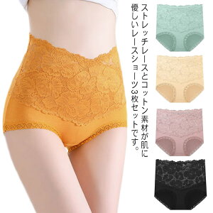 [  fB[X 3Zbg V[c [X  nCEGXg  [ ҏ[  [XV[c pc Lk ꂢ Xgb` ʋC ̓ v[g Mtg