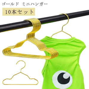 10本セット ペット ハンガー 犬服用ハンガー 犬用ハンガー ベビーハンガー ぬいぐるみハンガー ペット用ハンガー ゴールド 犬 猫 いぬ ねこ 犬服 猫服 おしゃれに収納 収納 子供服 小型犬 中