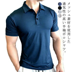 |Vc  Y | bV ڐG⊴  z  hC Xgb`  אg X tBbg X|[c Ci[ ⊴ ʋC W St JWA 傫TCY   