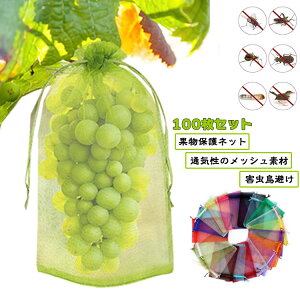 100Zbg ʕlbg ʎ Ԃǂ Q ʕ 񂲑 یlbg 悯 bV 悯 25 т  C`S hlbg hlbg ʕی ʎp JX΍ ʋC 