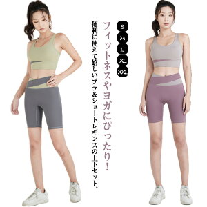 ZbgAbv Jbvt EFA fC[Y Jbvt K ㉺Zbg seBX KEFA V[gMX V[gpc X|[cu p tBbglXEFA ̌nJo[ 