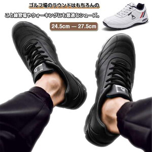 StV[Y Y C XpCNX St h _炩 ~ EH[LOV[Y i SťC X|[cV[Y ϋv L j h\[ bV K ϖՐ 