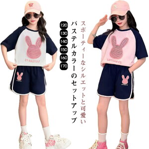  ؍ WjA q pW} pcZbg [EFA ̎q LbY  ZbgAbv ㉺Zbg TVc V[gpc ̎q X|[cEFA  [EFA ĕ K[