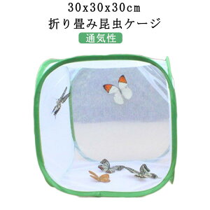 昆虫ケージ 通気性 ネット 昆虫飼育箱 繁殖 飼育ケース 30x30x30cm バタフライケージ 蝶 バッタ シルクワーム グローバーム生息地 植物ケージ 標本箱 折り畳み 虫かご ポップアップハウジング