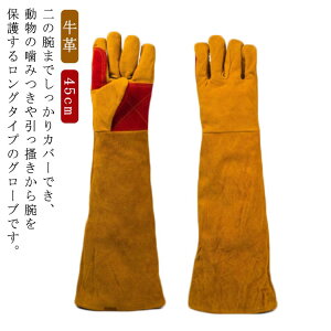 ybgO[u O ݂h~ ~  L ܐ؂ ঒  45cm bt ϋv v O[u L   X gg  ybg hn ˂hh~ C菝h~ 