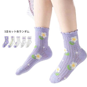 t[C LbY tďH bV\bNX ʋC XN[\bNX Xj[J[\bNX qp V[g\bNX 5g ԕ \bNX ̎q \bNX  킢 x