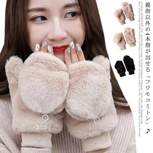 fB[X  ~gJo[t ~g   4{wo X}z  wȂ h g 킢 wF w ʋ ʊw H~ ] h AEghA  rW