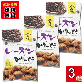 レーズンかりんとう 入り×3袋お試しセット 保存料・酸化防止剤不使用 山脇製菓