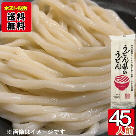 うどん県のうどん 300g×15袋まとめ買いセット（計45人前） 香川県産ブランド小麦さぬきの夢100％使用 讃岐うどん 乾麺 讃岐物産