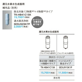 パナソニック　還元水素水生成器用オプション　浄水カートリッジ【TK-HB41C1SK】