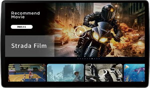 �J�[�i�r�E�X�g���[�_ F1X PREMIUM10 CN-F1X10C1DA