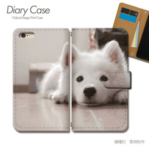 Android One S8 蒠^ P[X S8-KC PHOTO  dog Aj} ybg X}z P[X 蒠^ X}zJo[ e018101_01 Z ǂ낢 AhCh