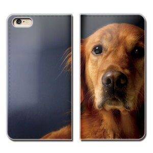 AQUOS sense4 lite SH-RM15 X}z P[X 蒠^ xgȂ PHOTO  dog Aj} ybg X}z Jo[ |X^[03 eb18101_03