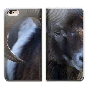 AQUOS sense2 SHV43 �P�[�X �蒠�^ �x���g�Ȃ� �ǂ��Ԃ� ���� �o�b�t�@���[ �X�}�z �J�o�[ �A�j�}��03 eb25204_01