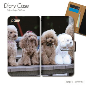 Galaxy A25 5G P[X 蒠^ SC-53F ybg  񂿂 gCv[ X}zP[X 蒠^ X}zJo[ X}z P[X 蒠 gуP[X e024001_02 Aj} MNV[ 炭[ t@CuW[
