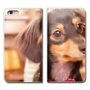 Galaxy A52 5G SC-53B X}z P[X 蒠^ xgȂ ybg  񂿂  X}z Jo[ Aj}02 eb24001_01