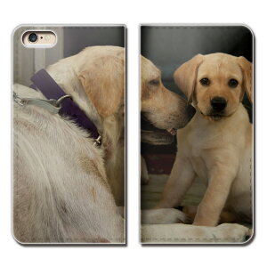 Galaxy S21 5G SCG09 X}z P[X 蒠^ xgȂ ybg  񂿂  X}z Jo[ Aj}02 eb24002_01