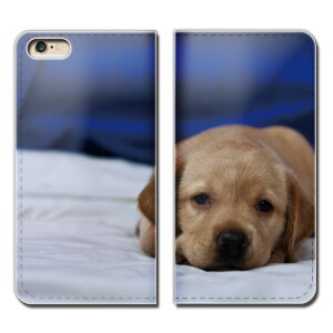 Galaxy Note20 Ultra 5G SCG06 X}z P[X 蒠^ xgȂ ybg  񂿂  X}z Jo[ Aj}02 eb24002_02