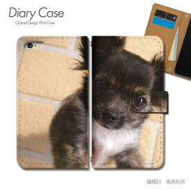 スマホケース手帳型 全機種対応 犬 携帯ケース d026603_01 犬 いぬ イヌ ペット チワワ ケース カバー iphone15 Pixel 8 iphoneSE Galaxy A54 Xperia 5 V AQUOS R8