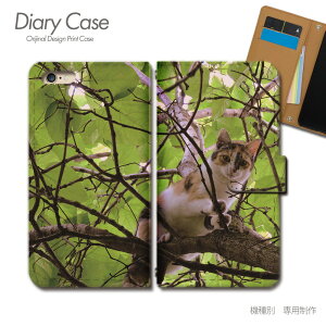 iPhone8 Plus 5.5 蒠^P[X iPhone8Plus L ˂ lR ʐ^ ybg qL X}zP[X 蒠^ X}zJo[ e026703_01 eЋ ACtH vX