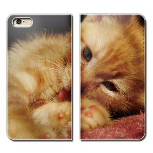 AQUOS zero5G basic A002SH スマホ ケース 手帳型 ベルトなし 猫 ねこ ネコ ペット 可愛い スマホ カバー ねこ15 eb26103_05