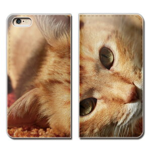 AQUOS sense3 basic SHV48 X}z P[X 蒠^ xgȂ L ˂ lR ybg  X}z Jo[ ˂15 eb26104_03