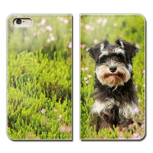 AQUOS sense2 SHV43-UQ �P�[�X �蒠�^ �x���g�Ȃ� �� ���� �C�k �y�b�g �V���i�E�U�[ �X�}�z �J�o�[ ��02 eb26603_03