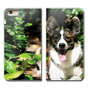 Rakuten BIG s 3917JR X}z P[X 蒠^ xgȂ   Ck ybg q hbO X}z Jo[ 02 eb26604_03