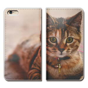 Redmi Note 9S M2003J6A1R X}z P[X 蒠^ xgȂ L ˂ lR ybg qL X}z Jo[ ˂16 eb26701_03