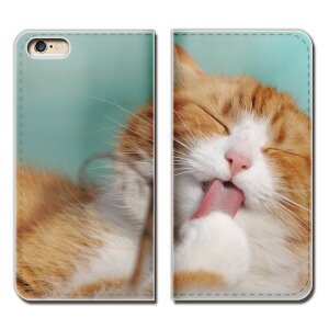 AQUOS zero5G basic DX SHG02 X}z P[X 蒠^ xgȂ L ˂ lR ybg qL X}z Jo[ ˂16 eb26702_02