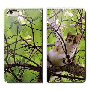 Xperia XZs SOV35 P[X 蒠^ xgȂ L ˂ lR ʐ^ ybg qL X}z Jo[ ˂16 eb26703_01