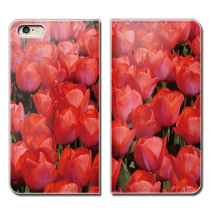 AQUOS sense3 basic 907SH X}z P[X 蒠^ xgȂ ԑ Jt  t[ X}z Jo[ flour05 eb27903_01