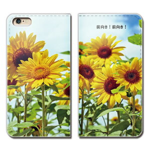 Google Pixel 6 GA02910 X}z P[X 蒠^ xgȂ t[Y O q} C  X}z Jo[ t i eb28501_01