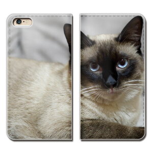 AQUOS sense2 SHV43-UQ �P�[�X �蒠�^ �x���g�Ȃ� �L �ɂ�� �L���b�g �y�b�g �l�R �X�}�z �J�o�[ �˂��摜 eb28703_02