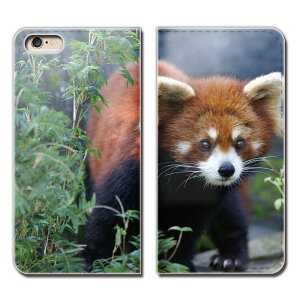 レッサーパンダの通販 価格比較 価格 Com