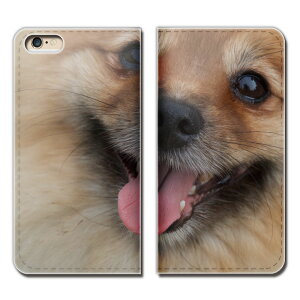 Xperia 5 II XQ-AS42 X}z P[X 蒠^ xgȂ   ybg |jA X}z Jo[ ʐ^ eb29102_01