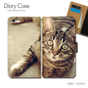 arrows We P[X 蒠^ FCG01 L lR ˂  Aj} X}zP[X 蒠^ X}zJo[ X}z P[X 蒠 gуP[X e029302_03 ˂摜 A[Y [ xm