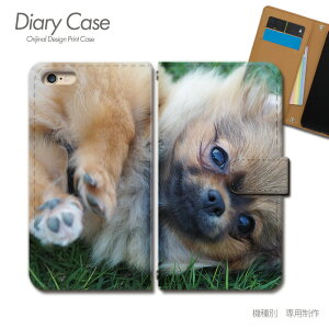 iPhone 16 P[X 蒠^ iPhone16 q Ck  ybg ` | X}zP[X 蒠^ X}zJo[ X}z P[X 蒠 gуP[X e029903_01 ʉ摜 eЋ ACtH ӂ